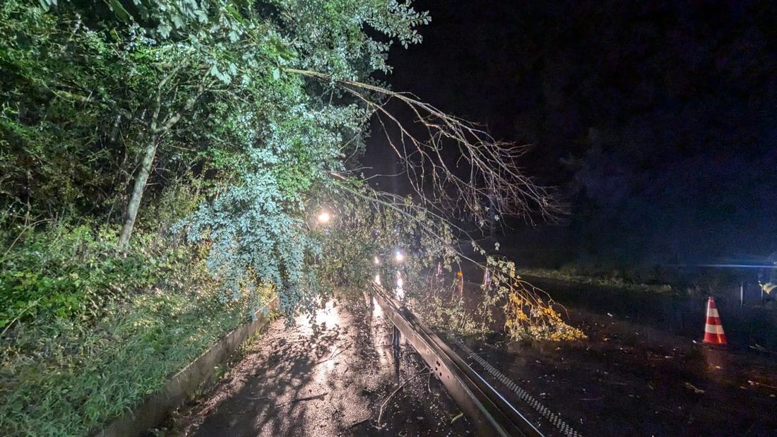 huehnerunwettgruen az1