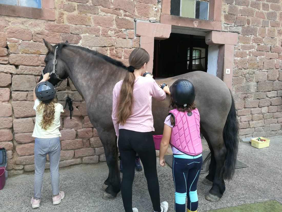 probecoronahilfen az3