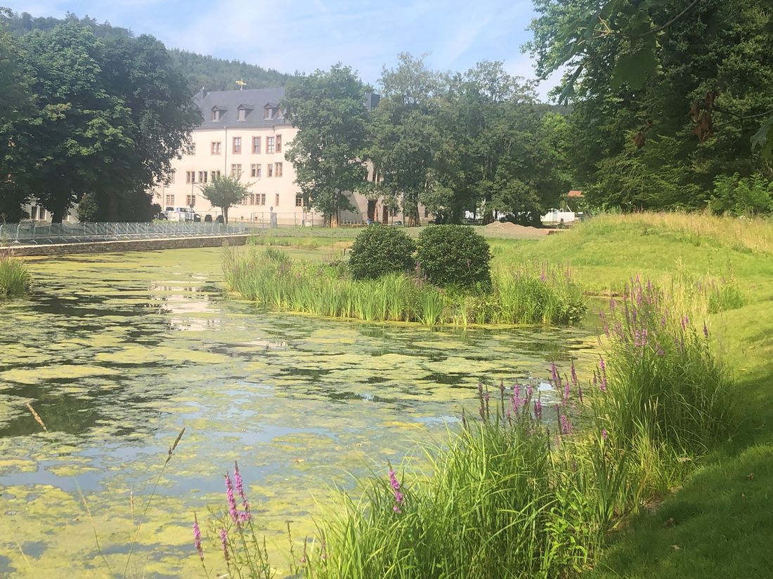 algenimschlossweiher az