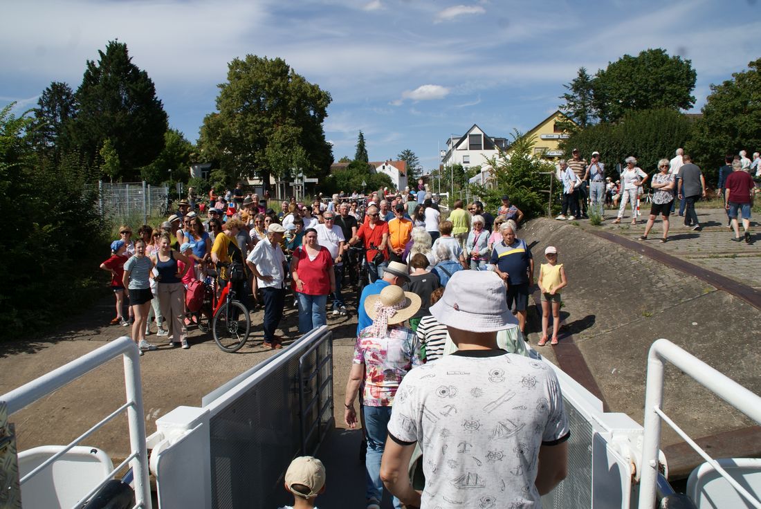 faheraktionstagmaintal az