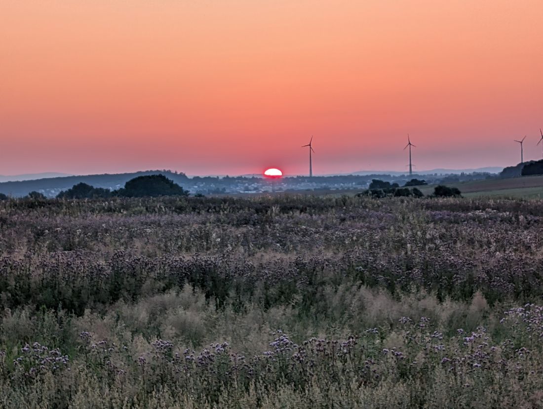 bergenmorgensch az1