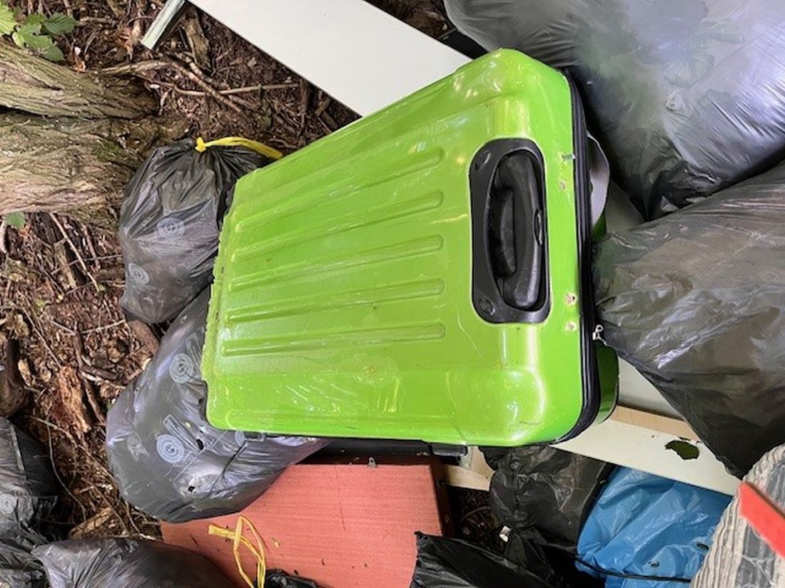 wachenbuchenmuellillegal az