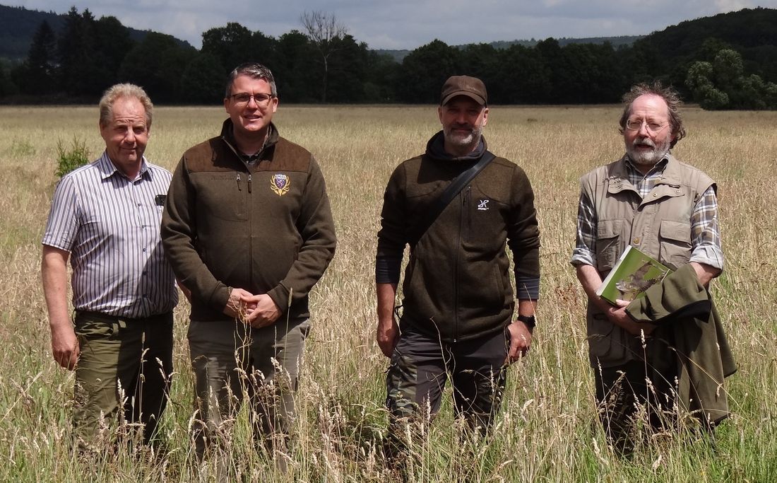 wachtelkoenig biebergemuend az1