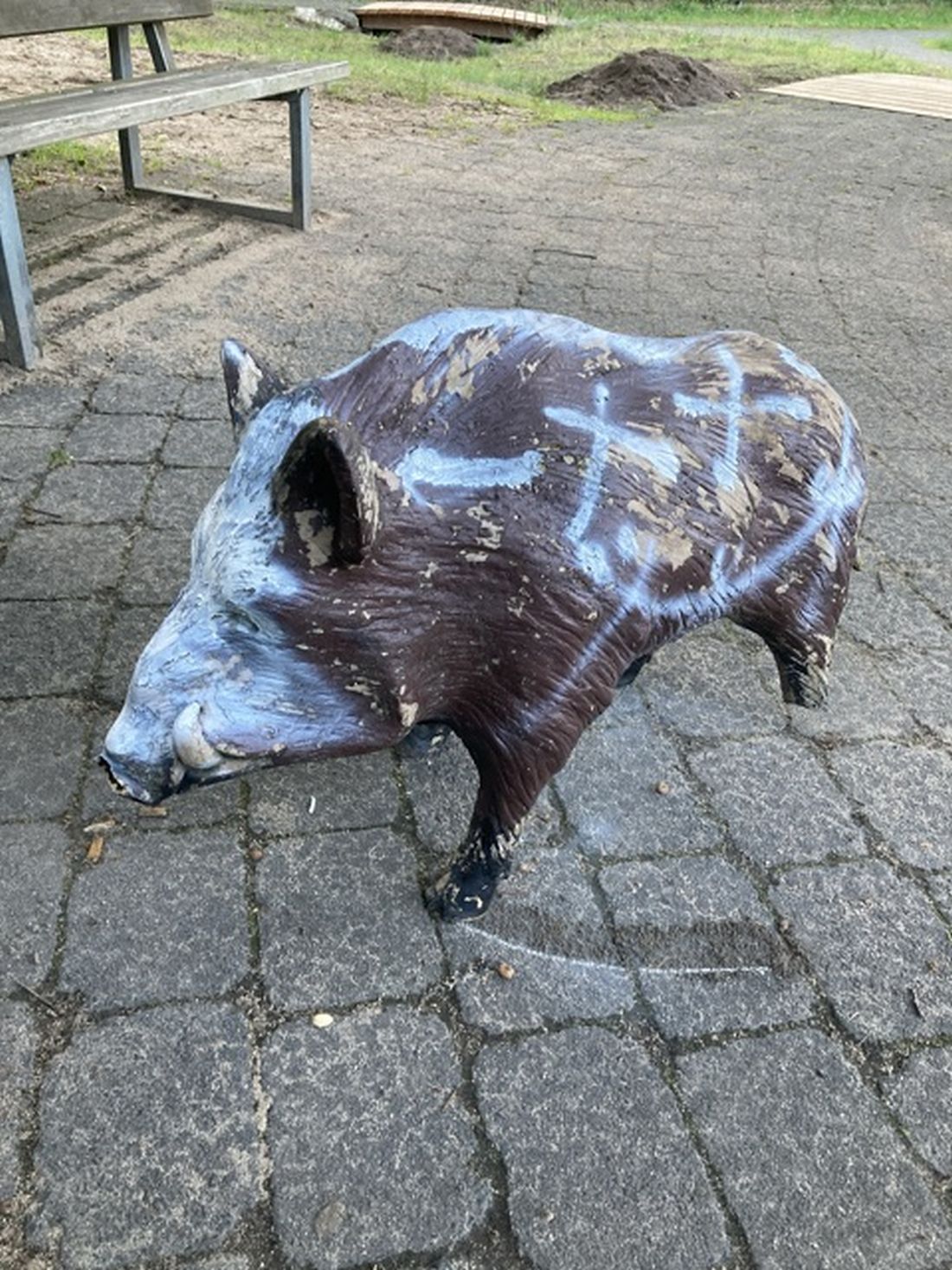 wildschweinrodgau az