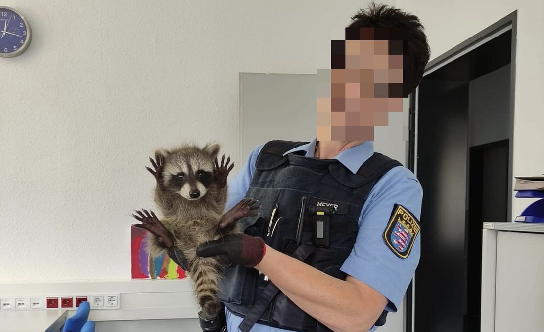 polizeirettewaschb az