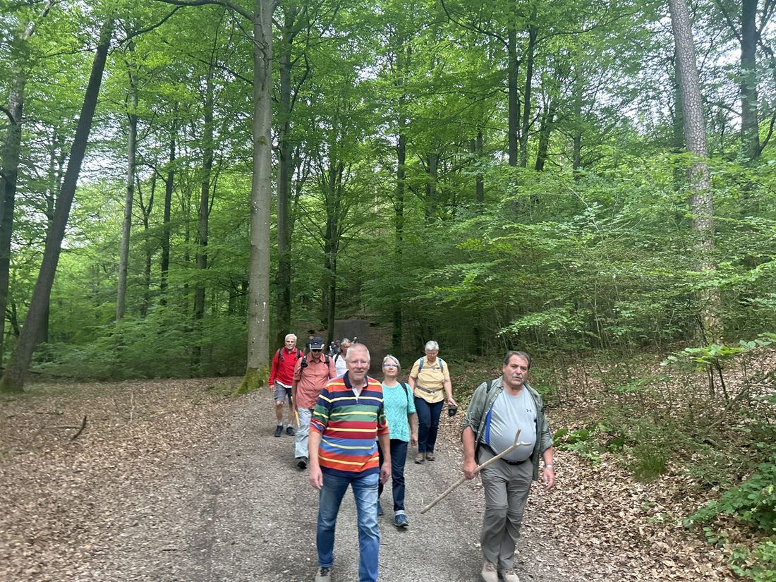 denkmalkircholaure az2