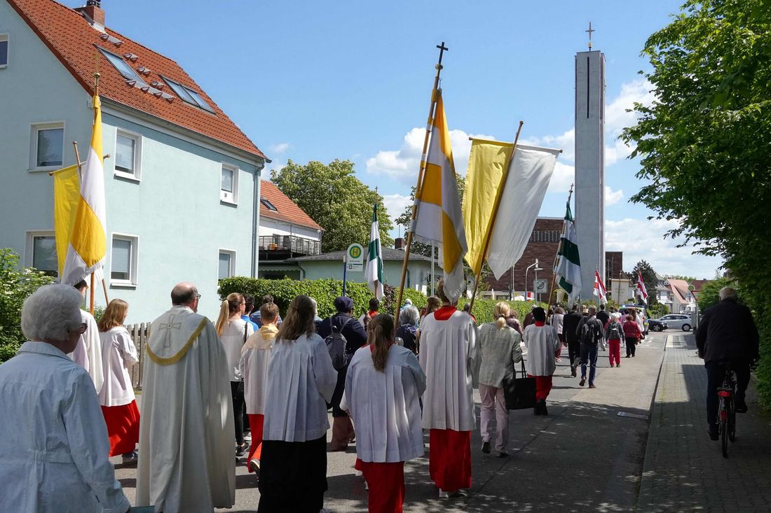 zpropzeskess az9