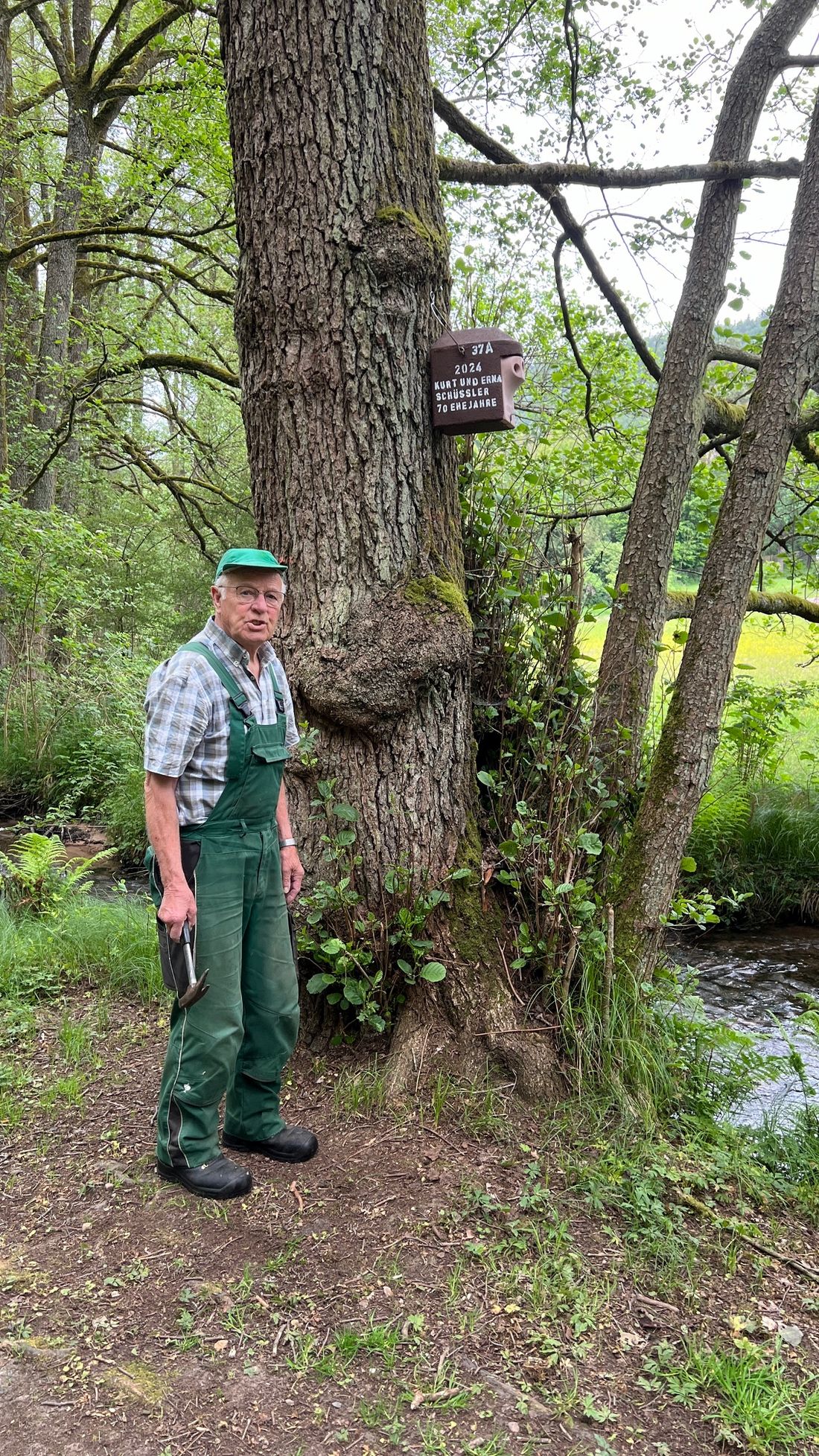 vandalismusirbvoel az1