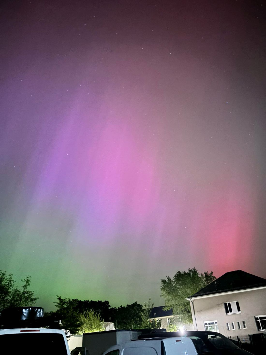 lizineid polar az