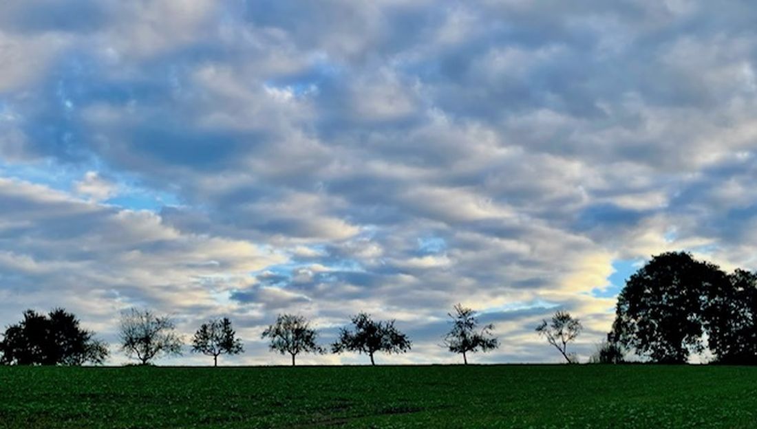 herbstpospischherb az2