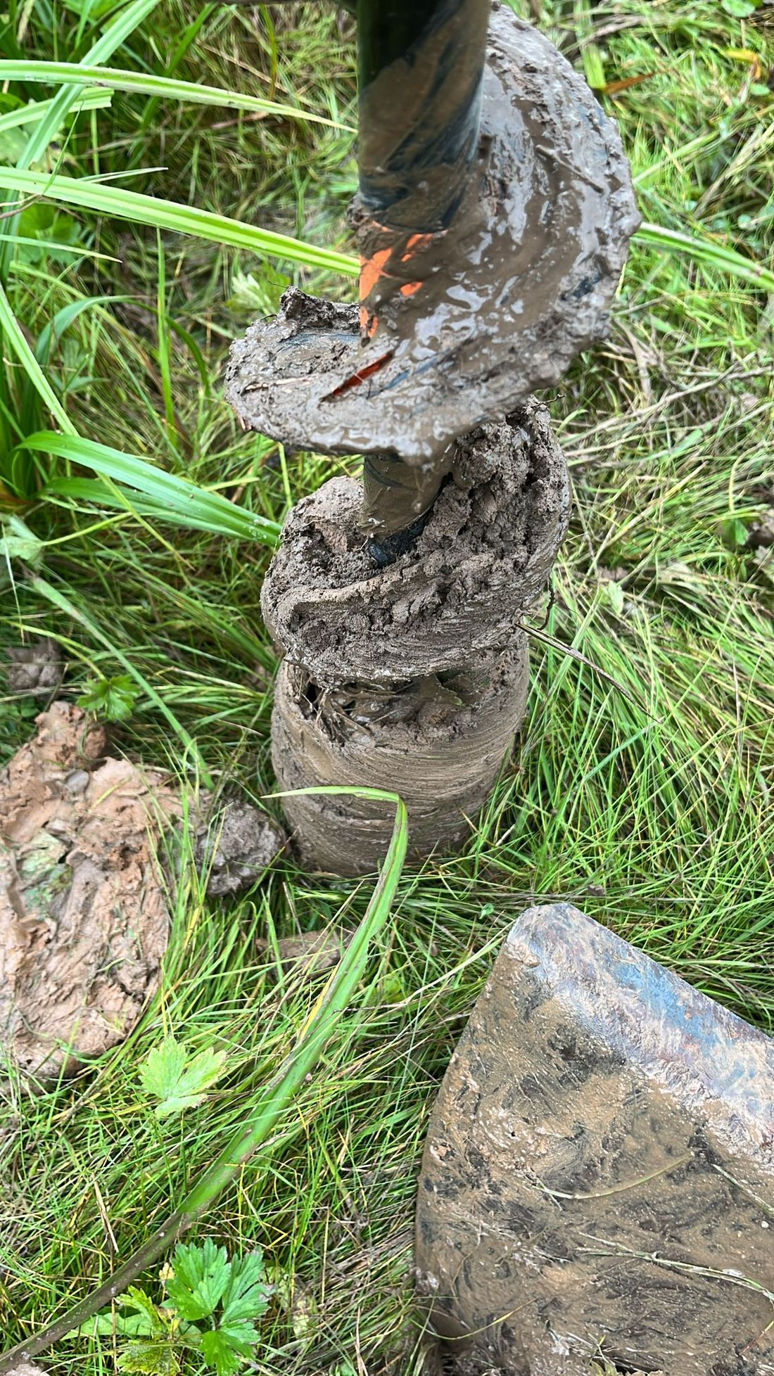 lohrbauchaufloersb az1