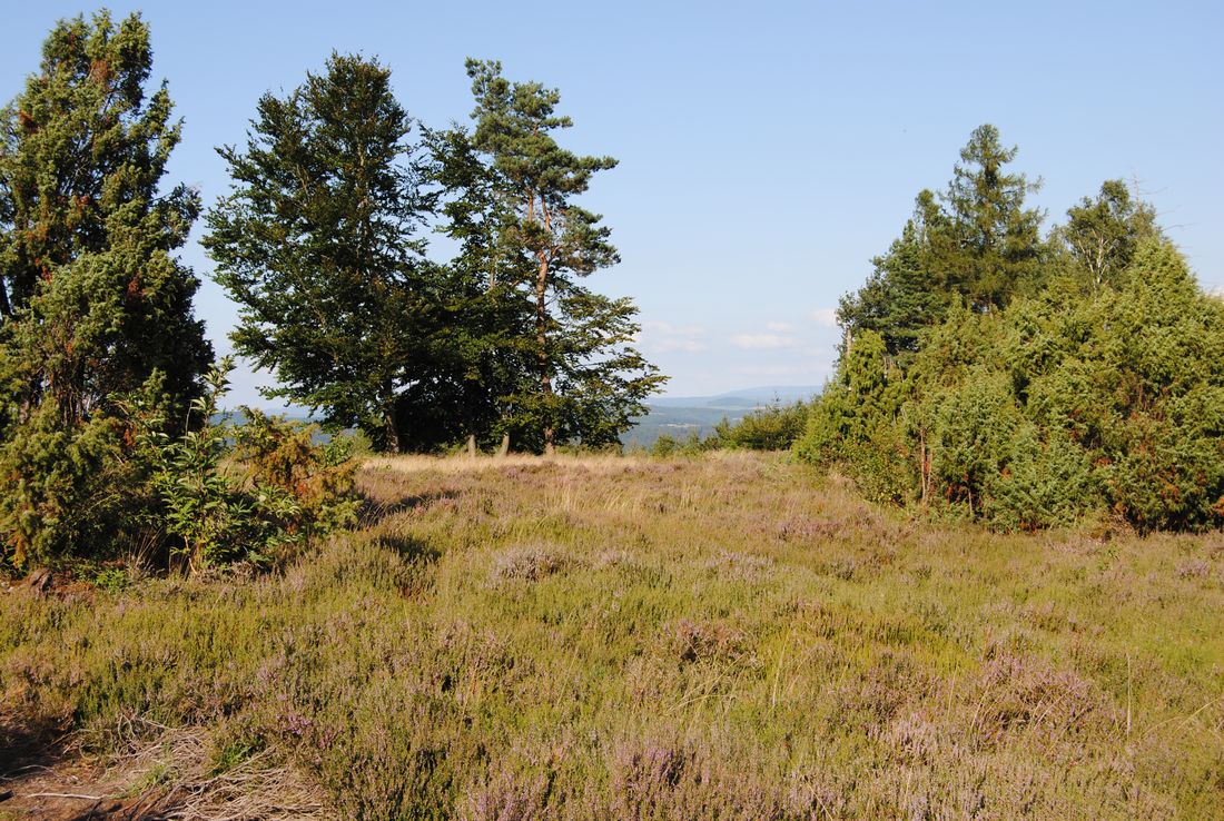 mernesheideflaeche az1