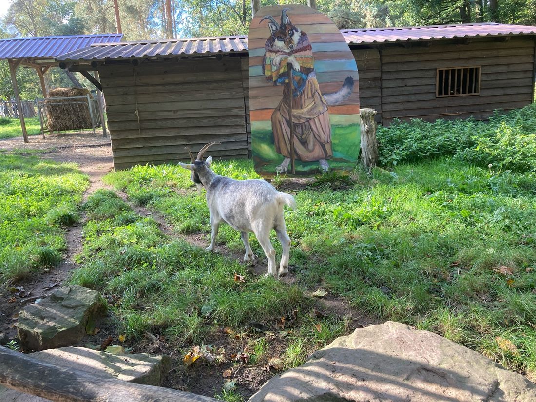 teilncduwildhros az1