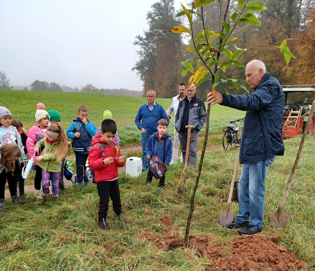 wunschzettelmittelgr az