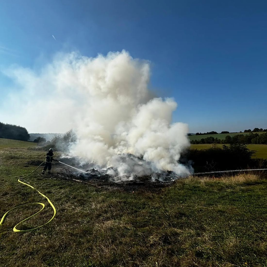 gestrueppjossfeld az