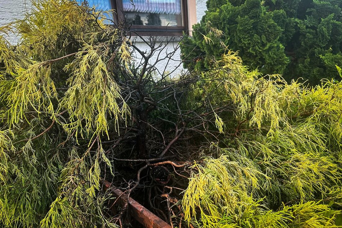 hecketonnenndmlau az1