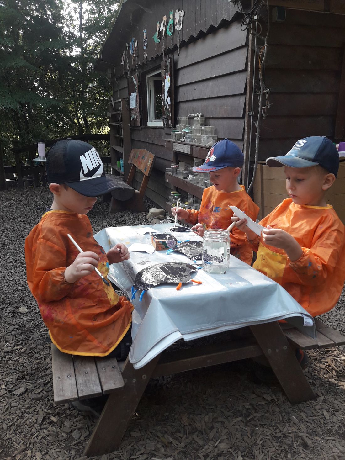 mistkaeferritter az1