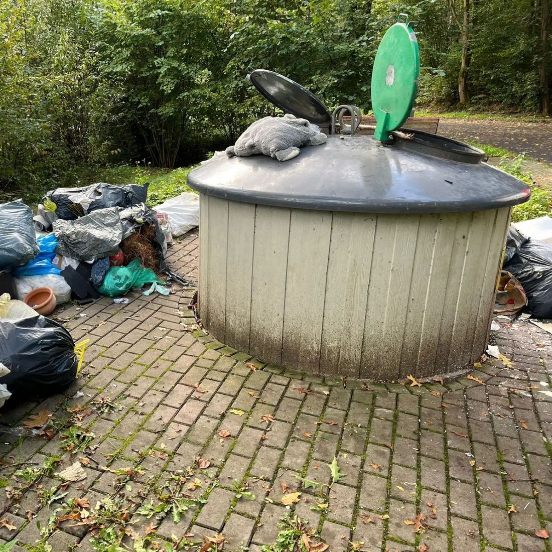 waschbaereneutschl az