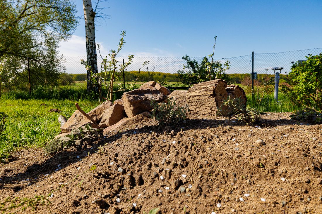 haufenoigveichen az3