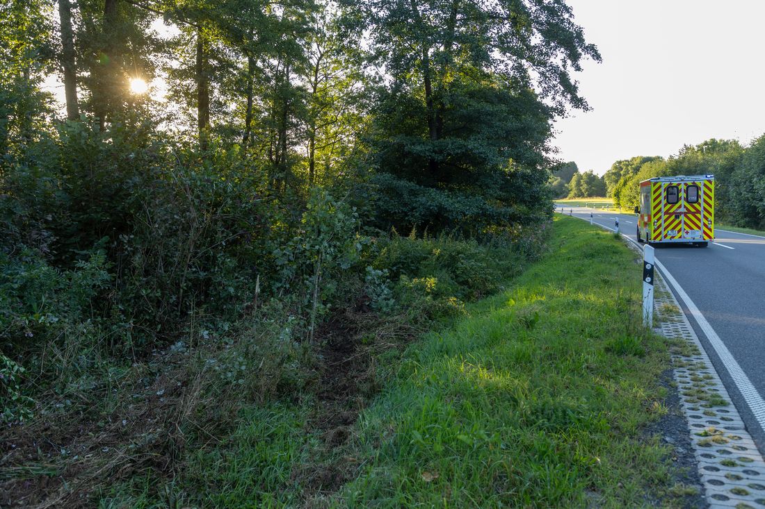 grebenharonnebugun az1