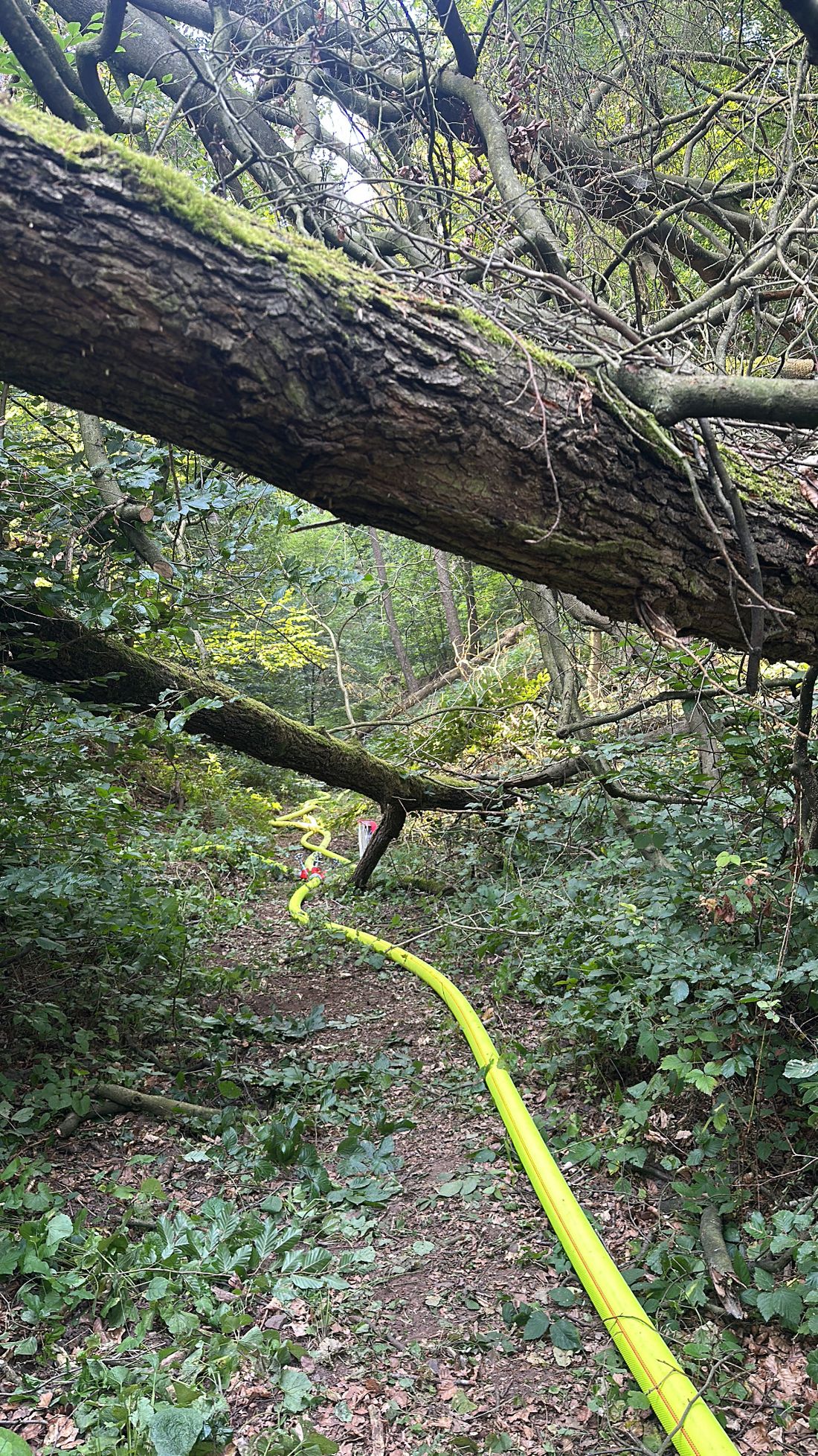 heiligenwaldbrand azs