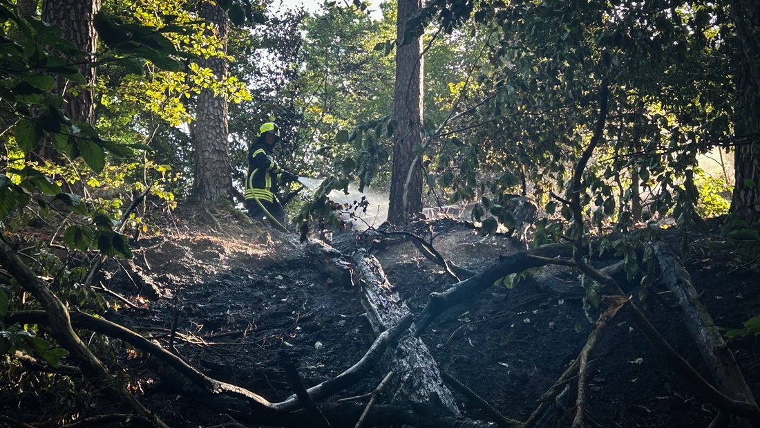 heiligenwaldbrand azs3