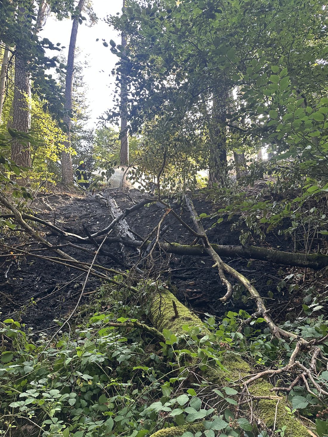 heiligenwaldbrand azs4