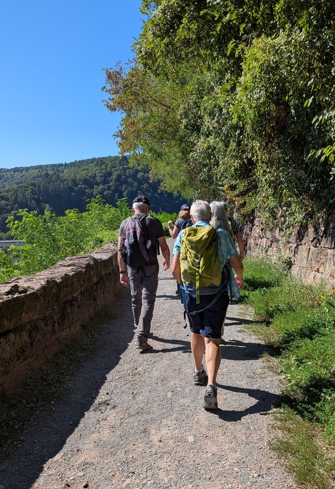 odenwaldnaturpa az1