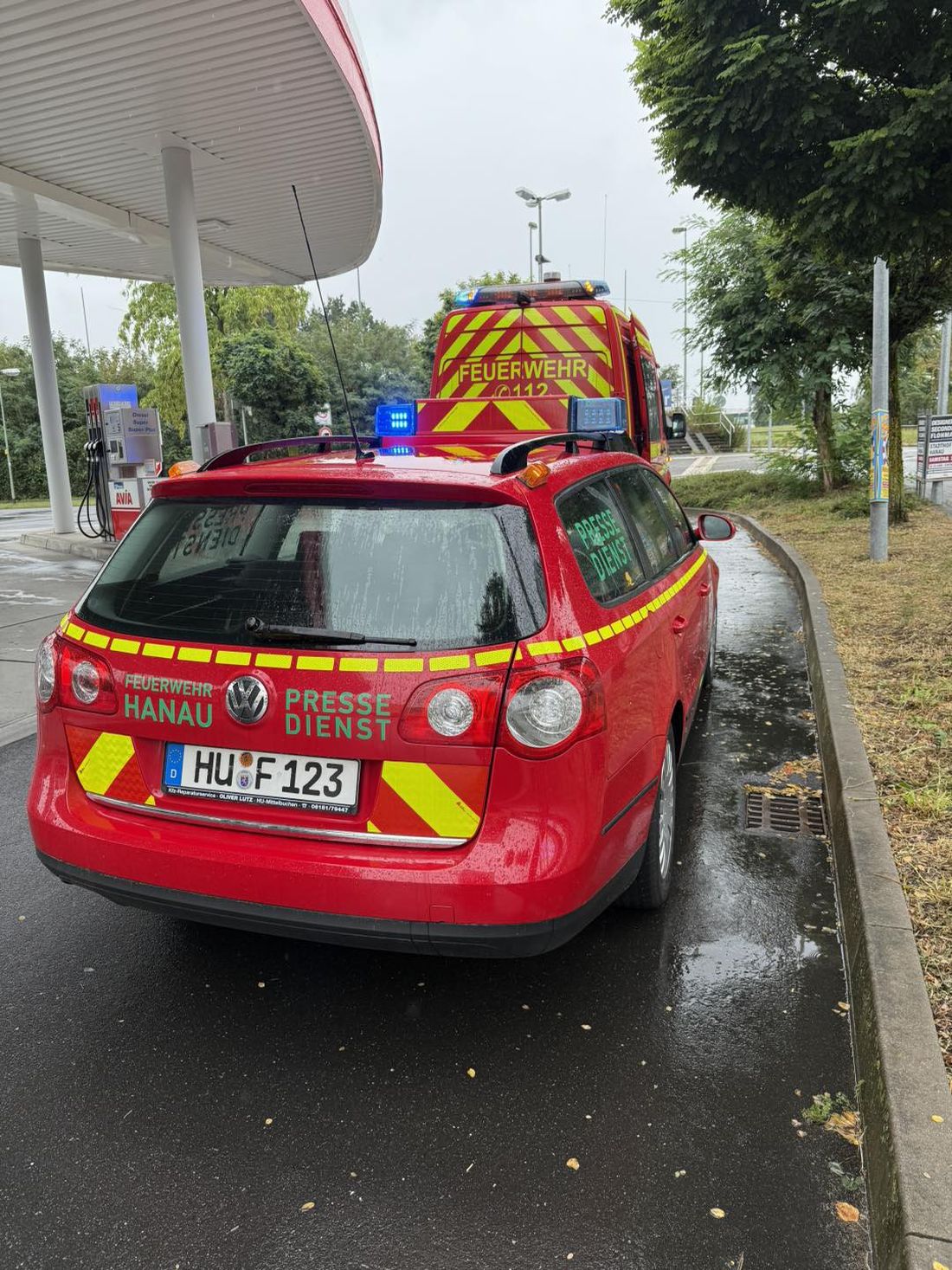 rondogefhstein az1