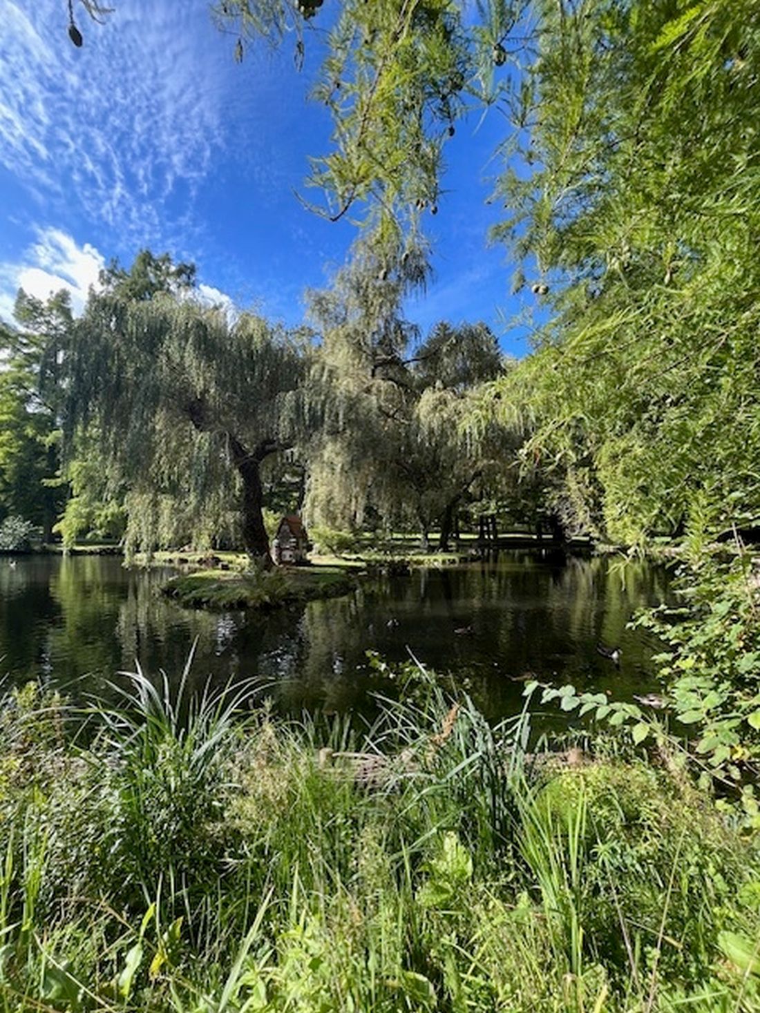 kurparkweihrieger az1