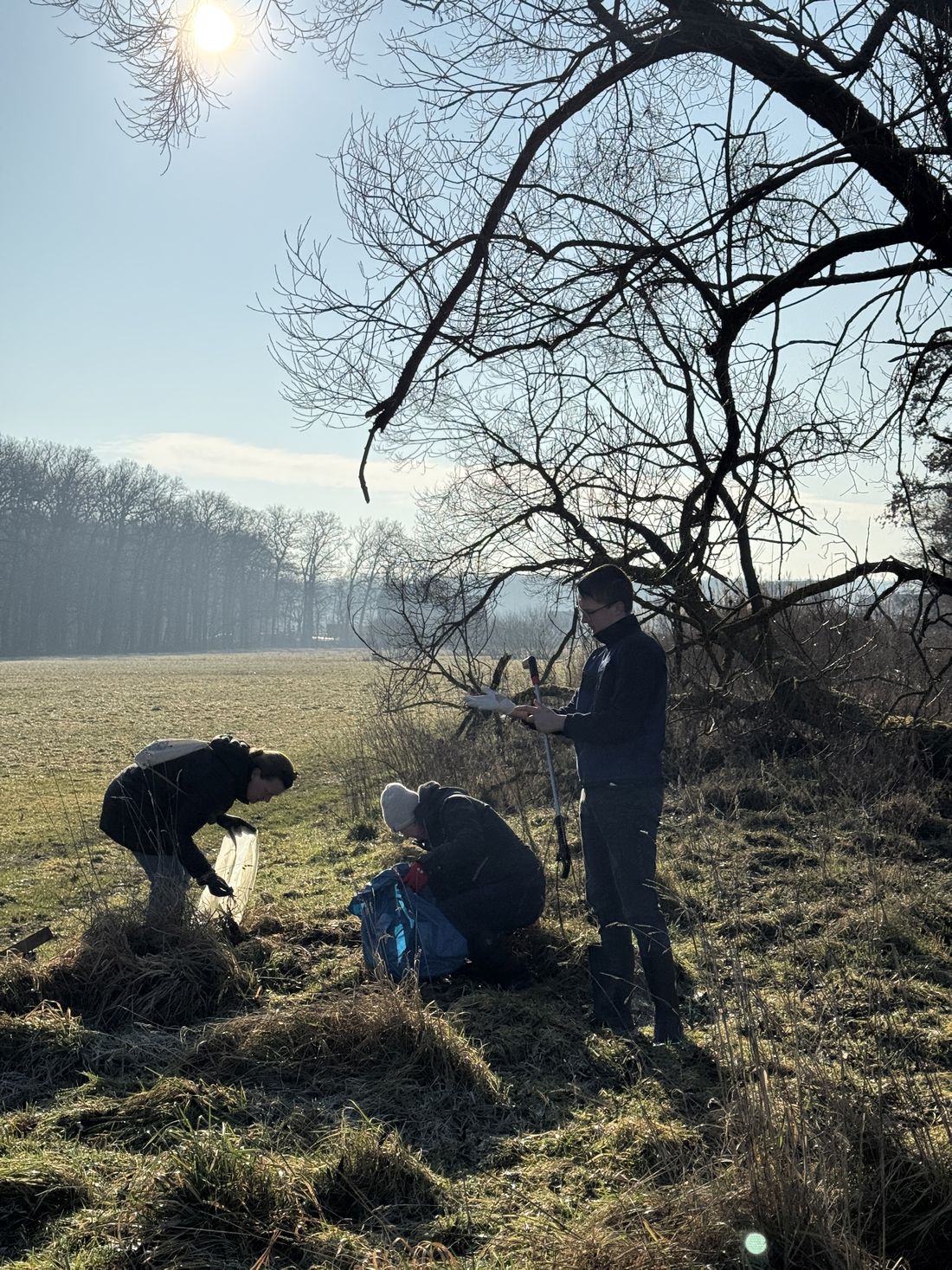 muellsammelneichen az1