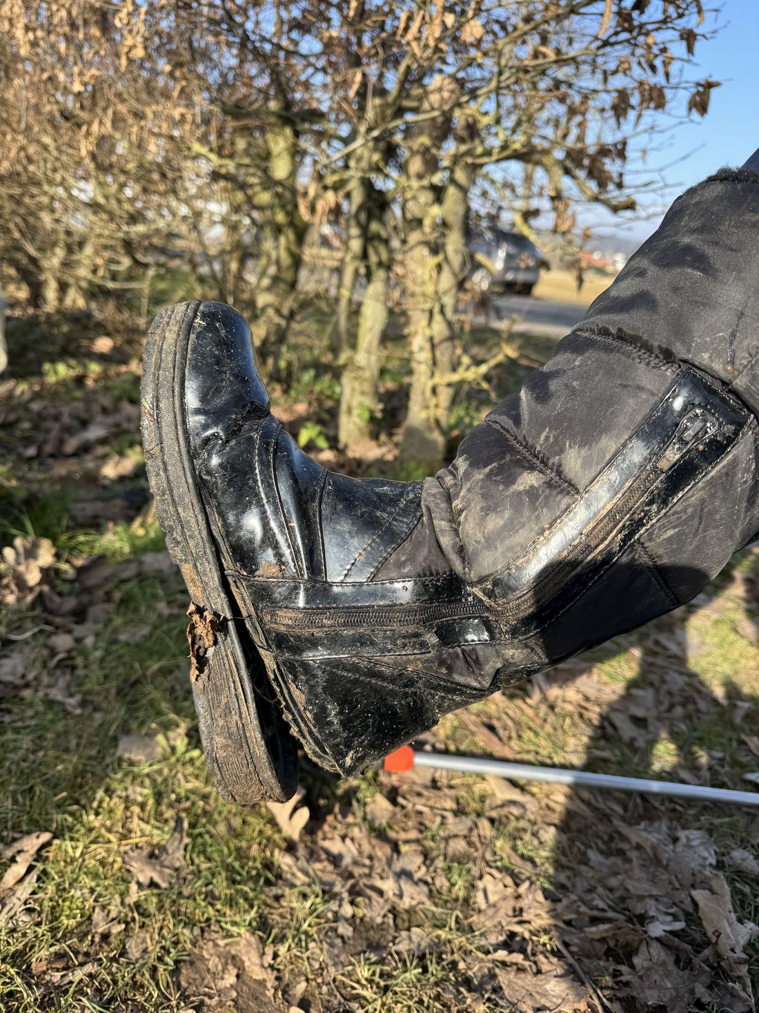 muellsammelneichen az3