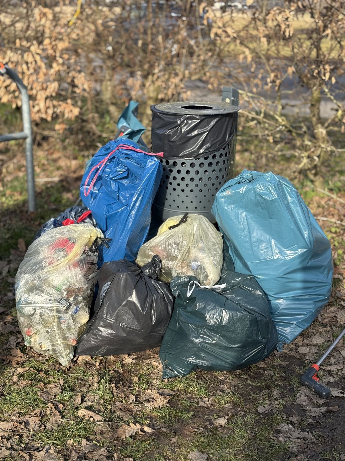 muellsammelneichen az4