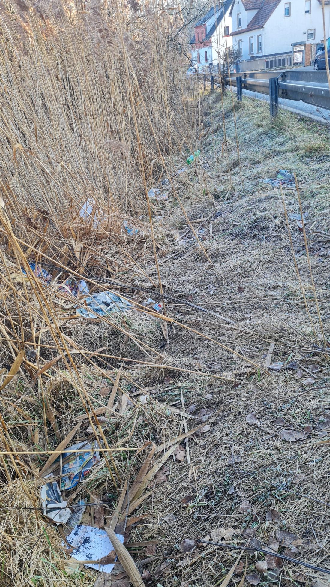 muellsammelneichen az6