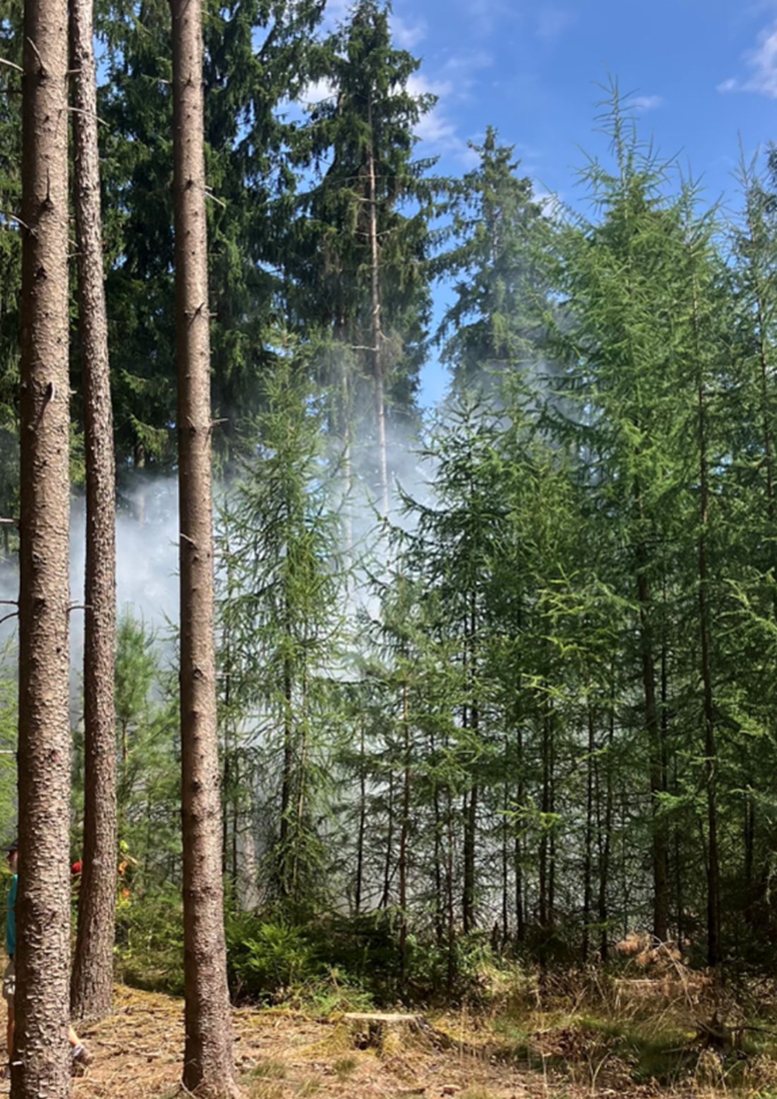 waldbrandueblinsen az