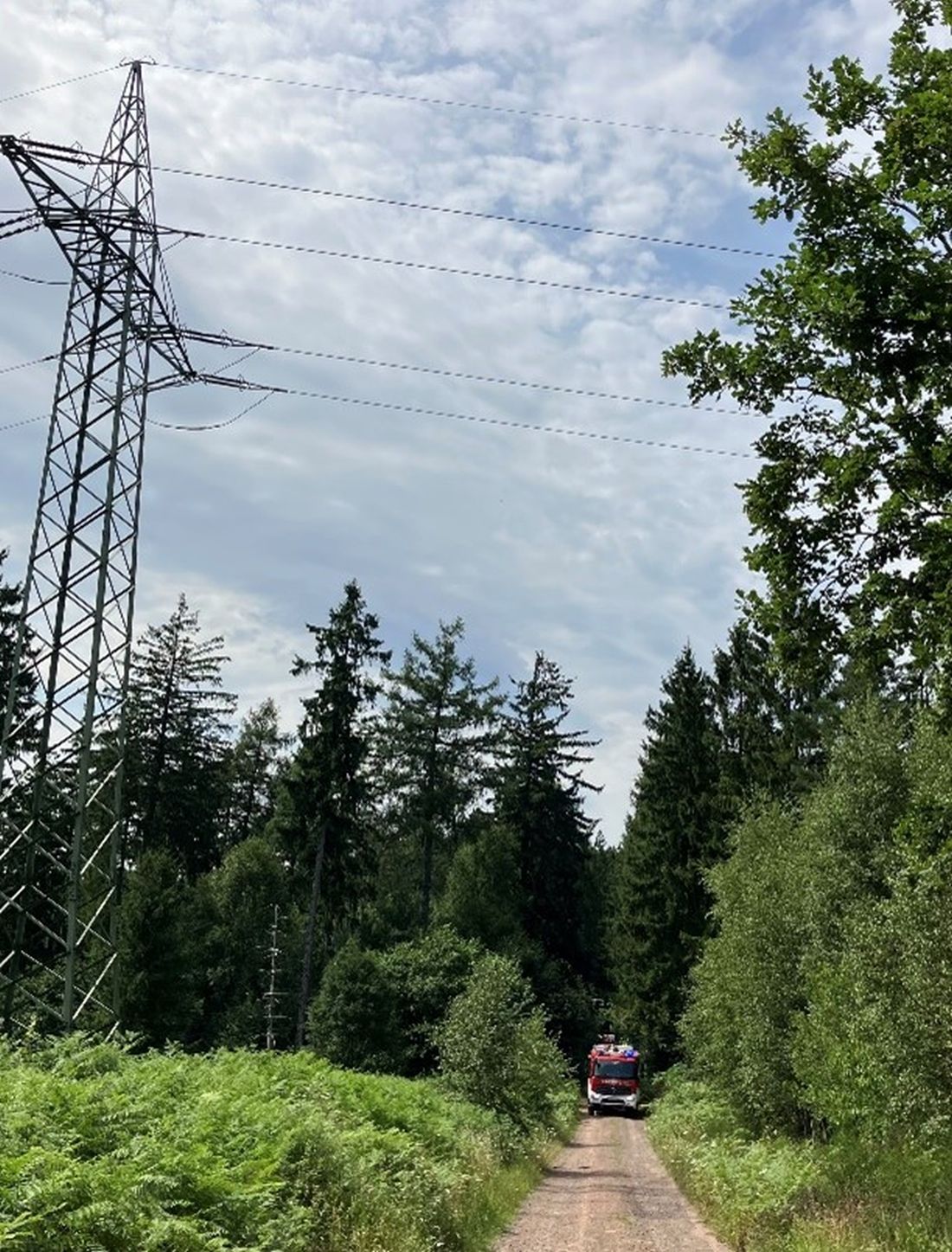 waldbrandueblinsen az1