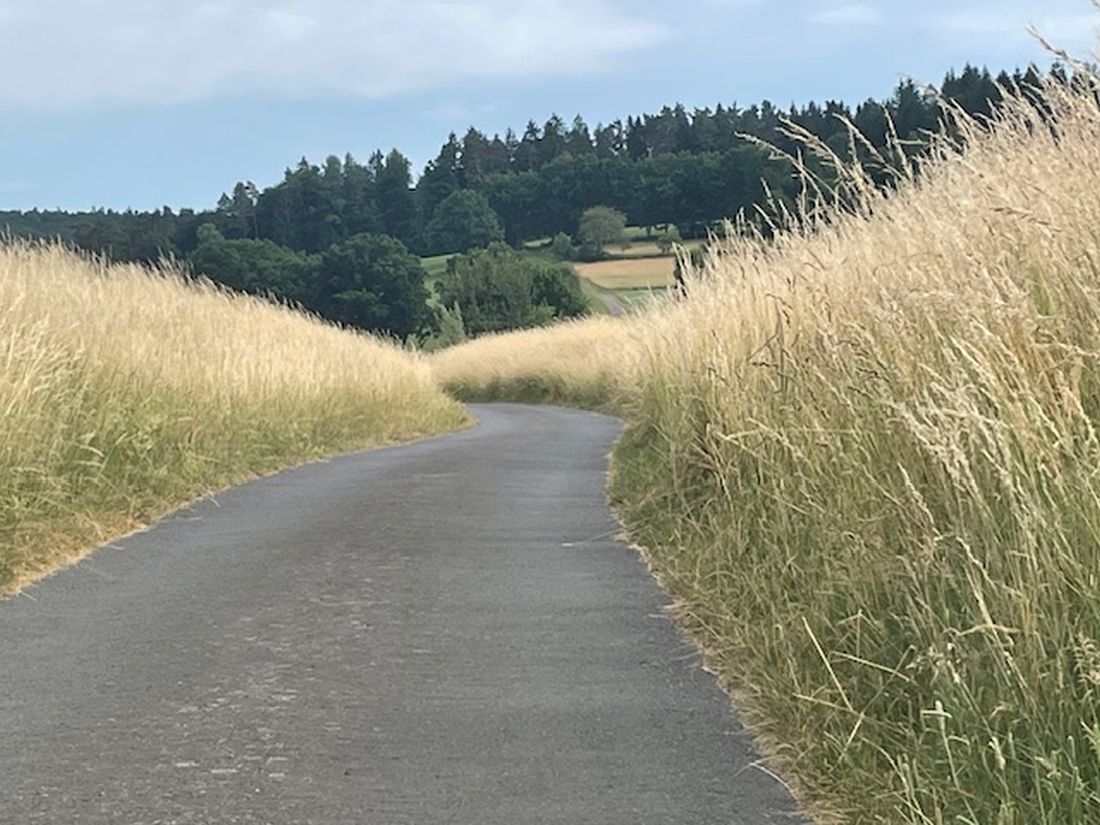strauchduenen az