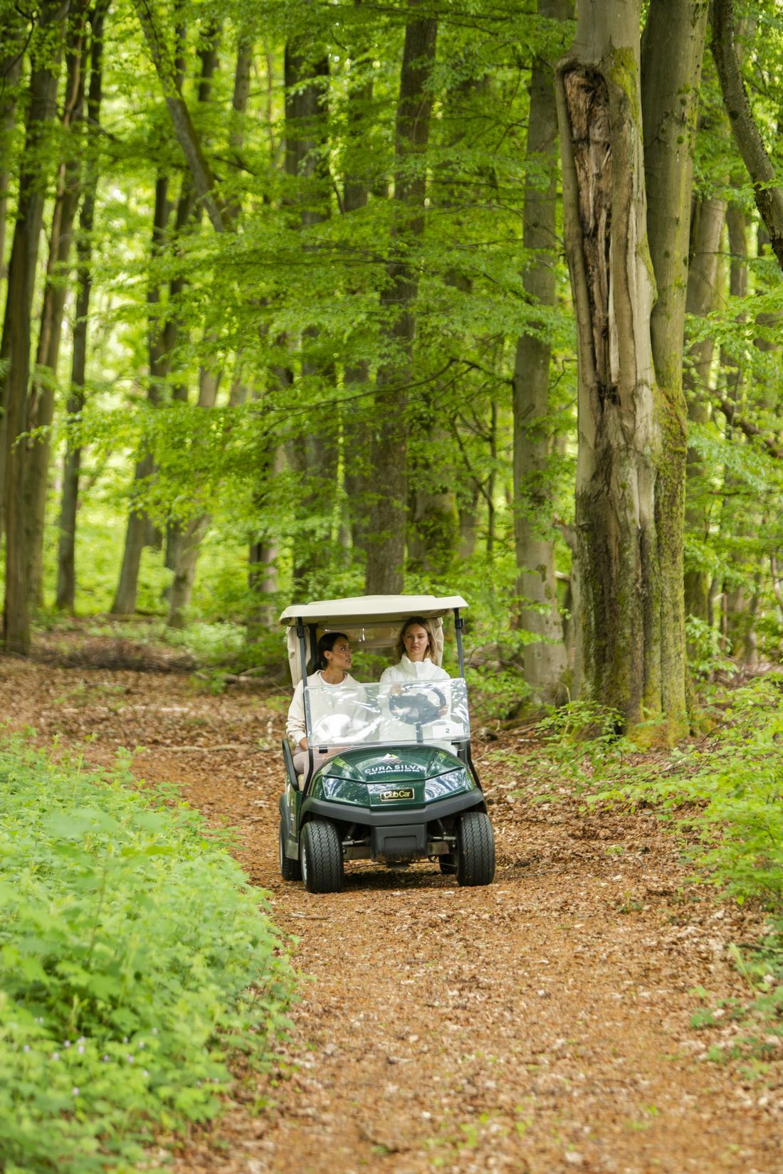 hoechstpradiheilbado az1