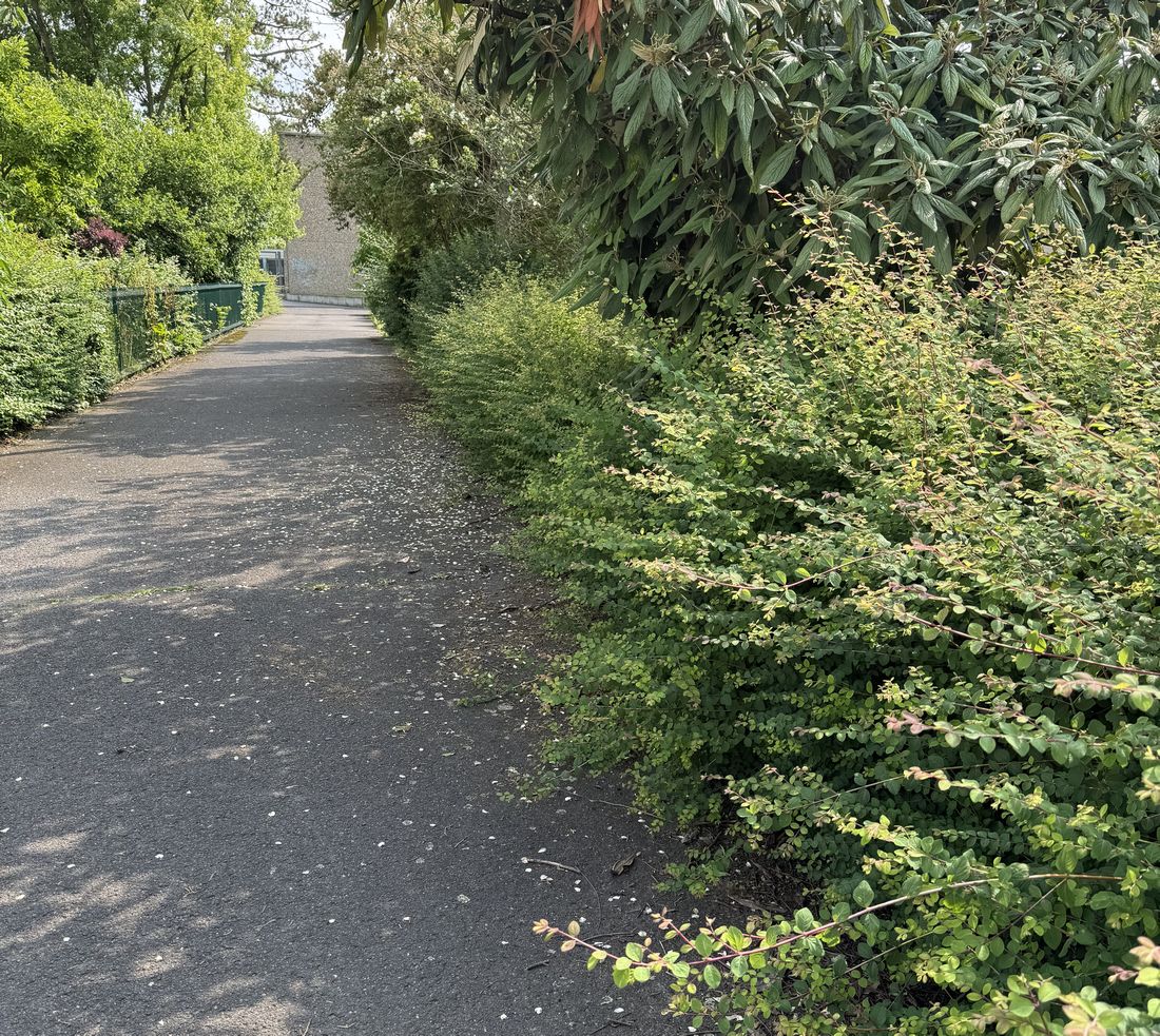 strassenreinspdgrossk az1