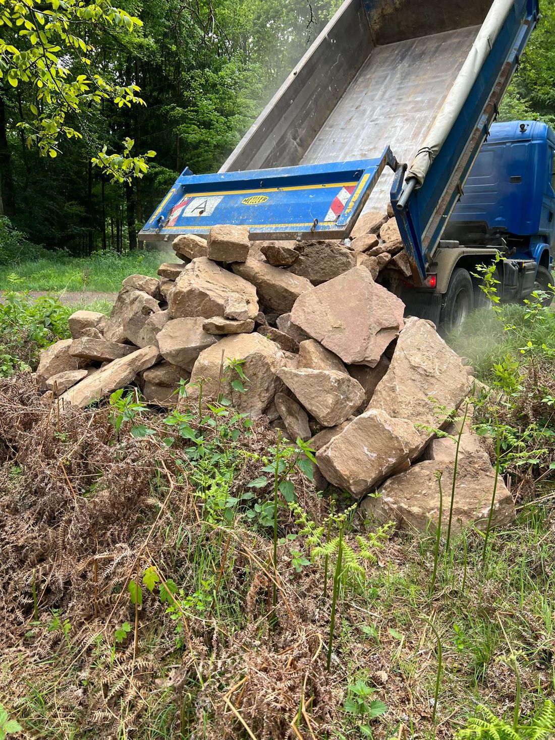 waldfoertsschu az1
