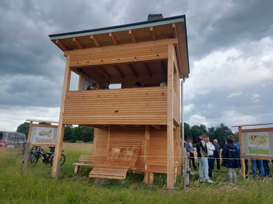 weiterebilderboll az1