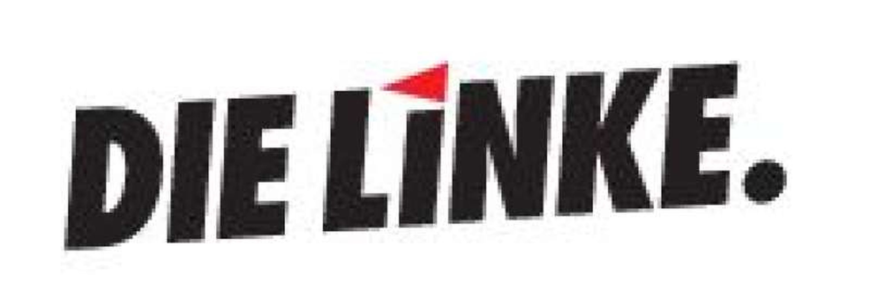 Naisan Raji am Infostand von DIE LINKE