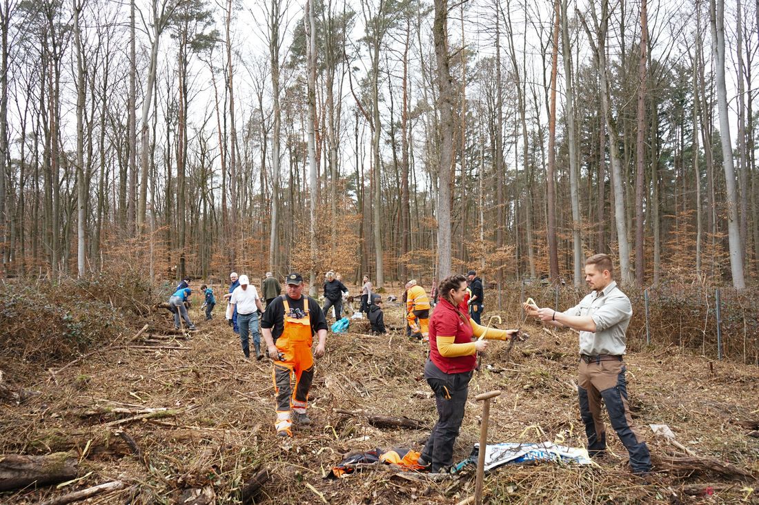 muehlwalhasselro az1