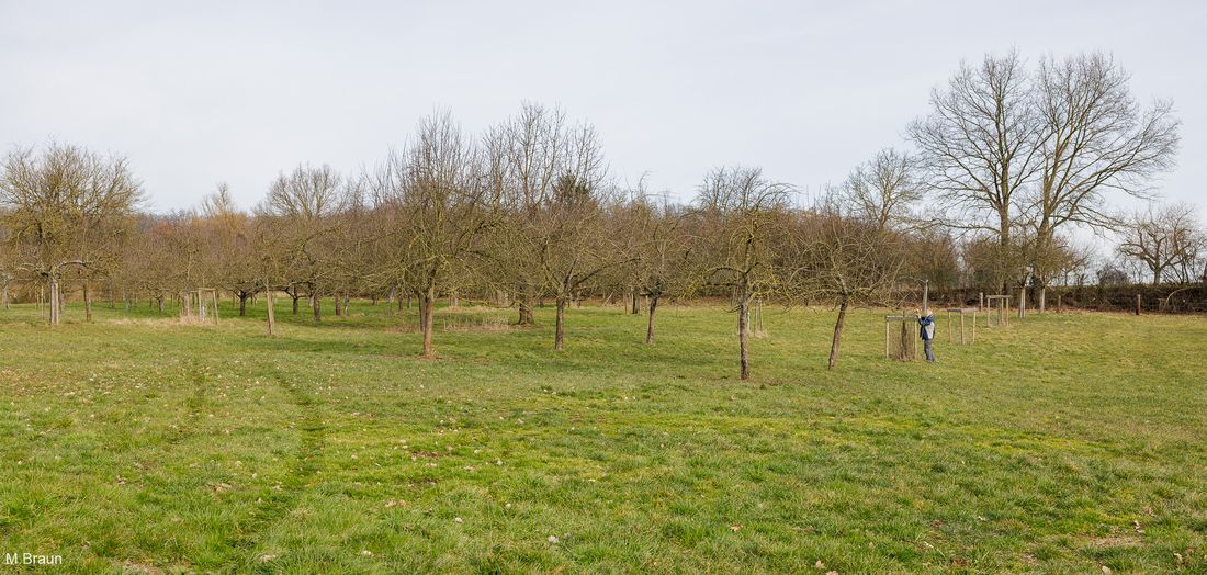 nistkaesteineichenn az3