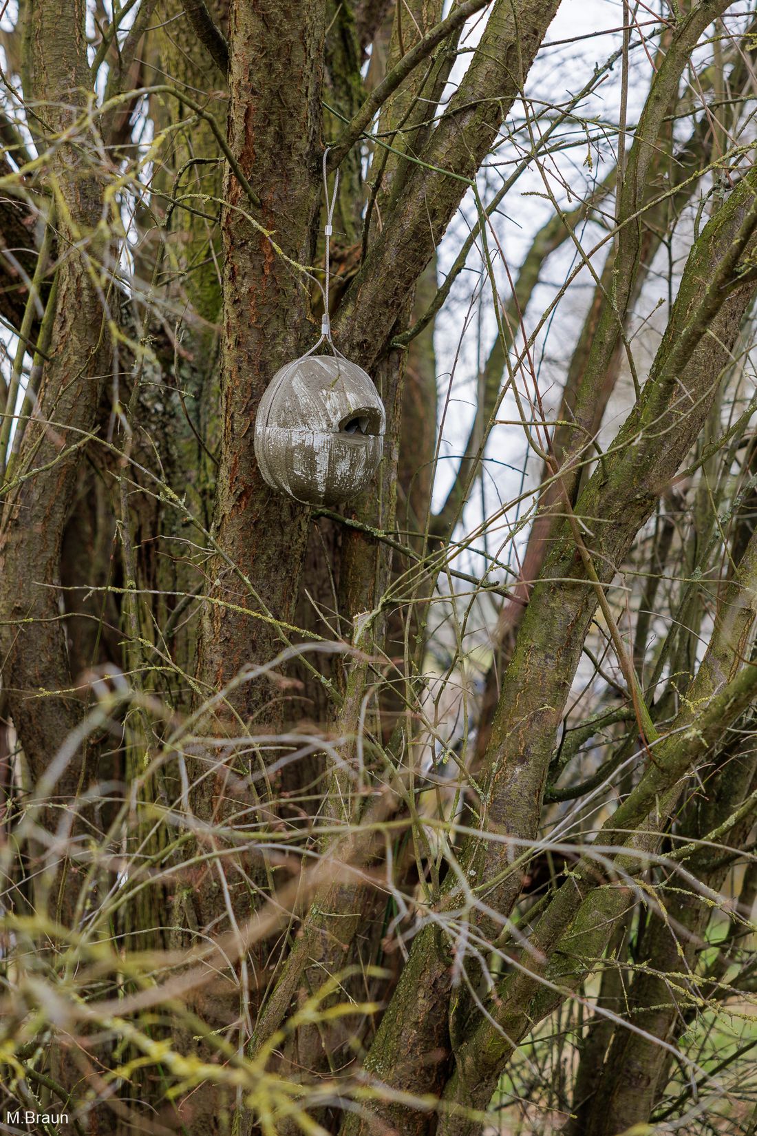 nistkaesteineichenn az6