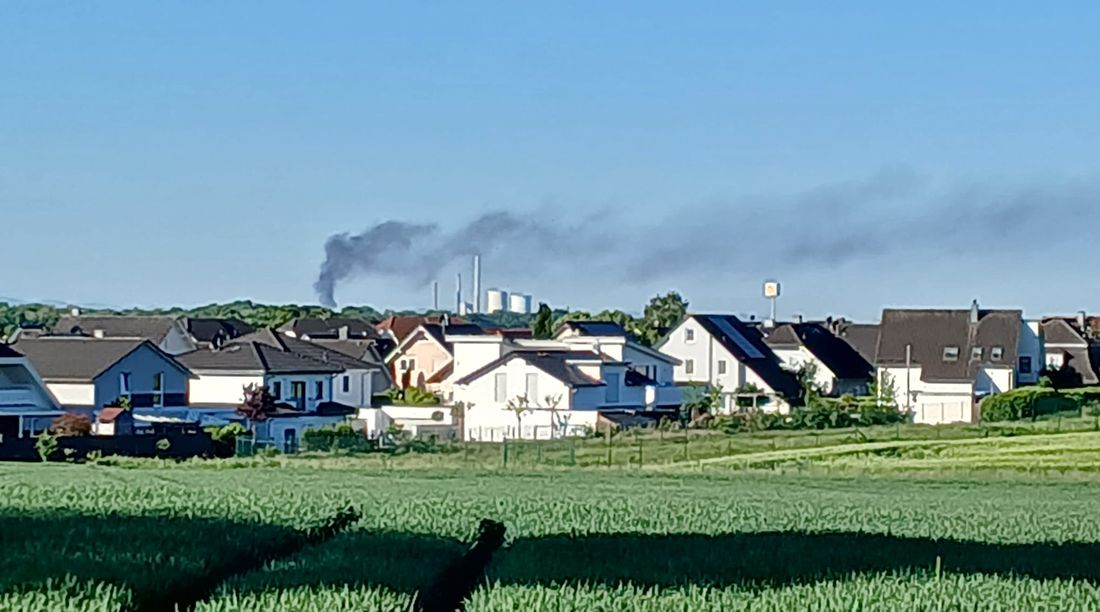 rauchwokeselb az