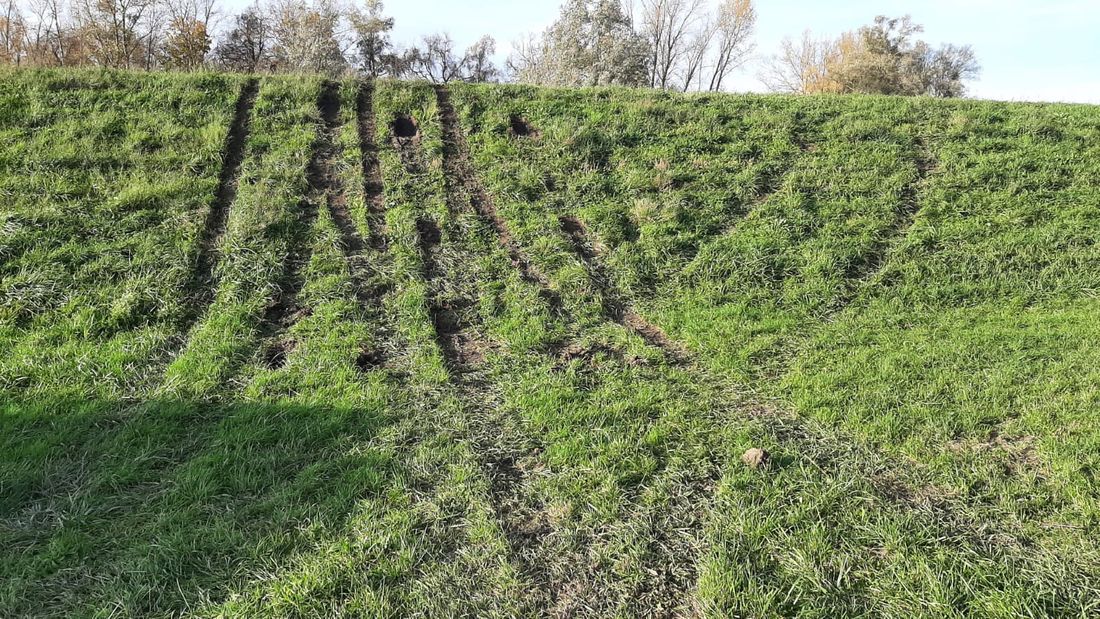 rheindeidhrohr z