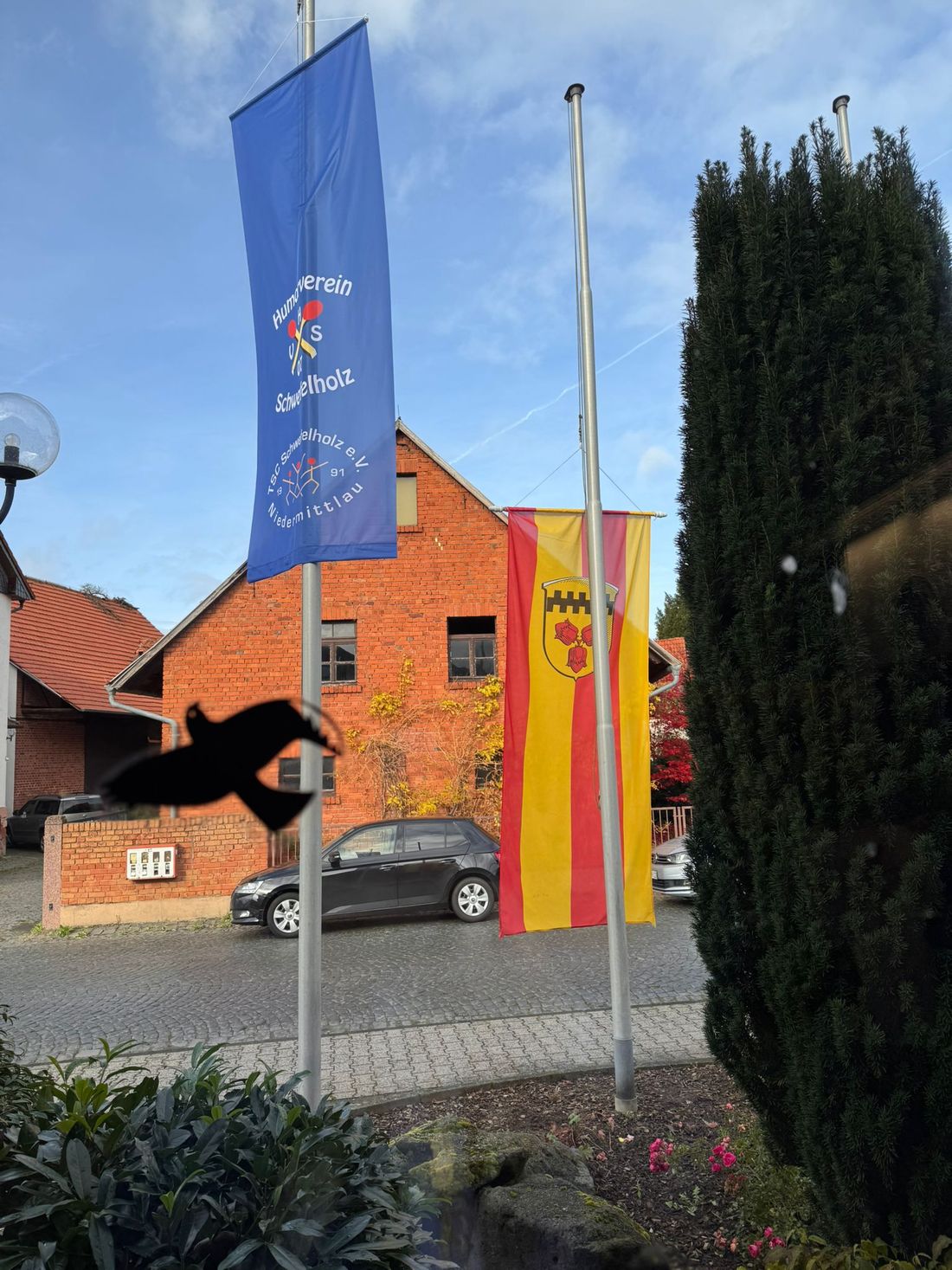 schwfelnarrenoffen az