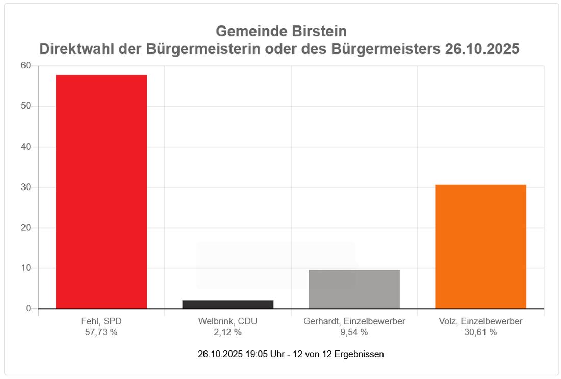 birsteingmbwahl az