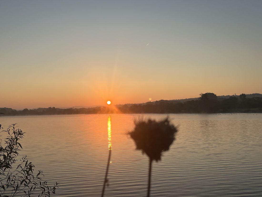 meergoldjinzig az